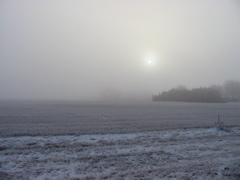 Sunrise in fog